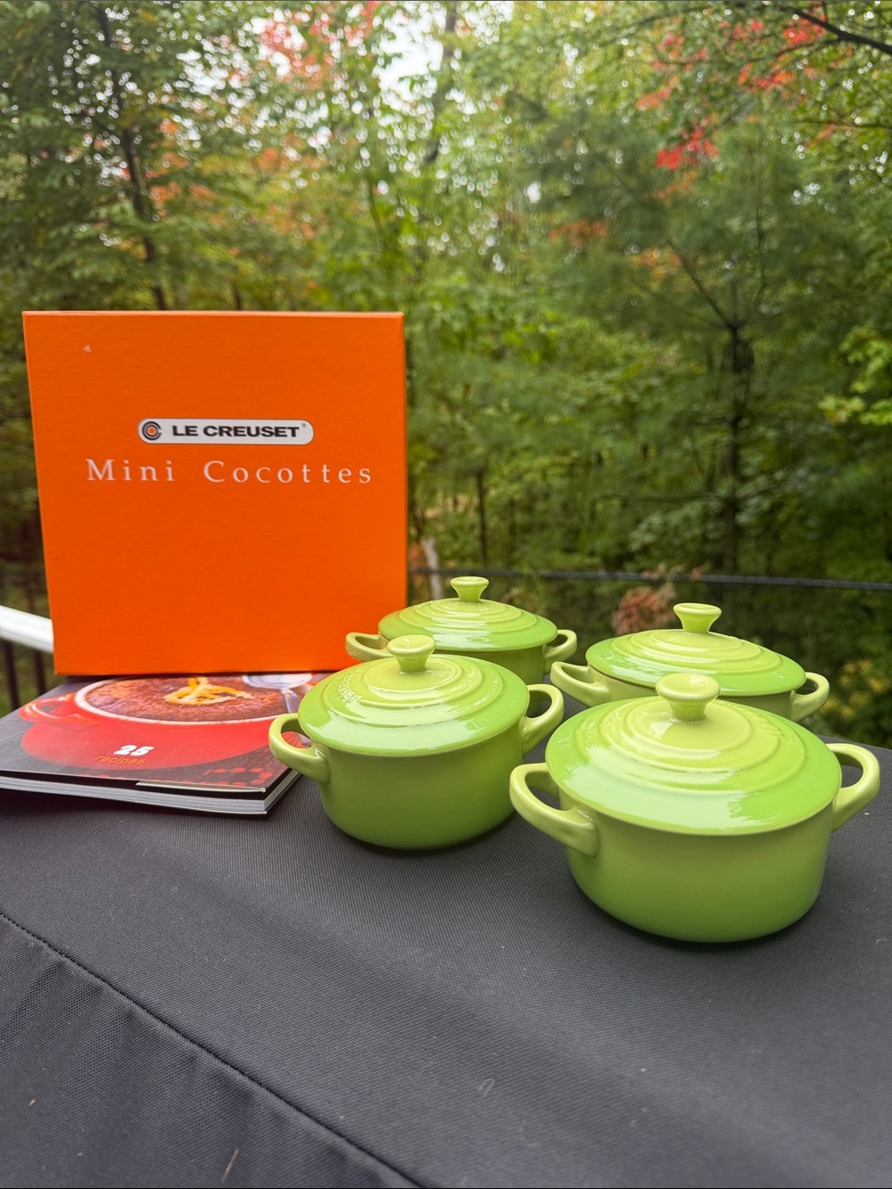Le Creuset Mini Cocottes: NWT